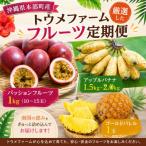 トウメファーム厳選したフルーツ定期便全3回