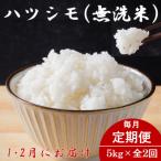 ショッピングふるさと納税 無洗米 ふるさと納税 羽島市 【発送月固定定期便】生産者応援!【先行予約】岐阜県産ハツシモ(無洗米)5kg【1・2月発送】全2回