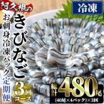 阿久根のきびなごお刺身セット 計480尾