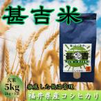 甚吉米 コシヒカリ 玄米 5kg×1袋全6回