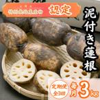 fu.... налог . север блок [ каждый месяц установленный срок рейс ][ земля изначальный . север блок производство ] грязь имеется лотос корень 3kg ( специальный культивирование сельское хозяйство производство предмет одобрено ) все 3 раз 