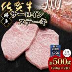 佐賀牛特上サーロインステーキ250g×2枚