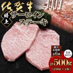佐賀牛特上サーロインステーキ250g×2枚