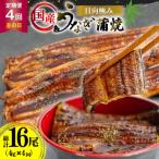ふるさと納税 日向市 【発送月固定定期便】国産 【 丑の日 季節の定期便 】 日向極み うなぎ蒲焼 4尾 計480g全4回