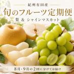紀州有田産旬のフルーツセット 梨3玉 シャインマスカット2房