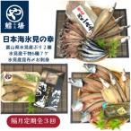 旨いもん10種 氷見ぶり 一夜干し 昆布〆お刺身
