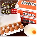 たまご 黄味じまん Lサイズ 60個