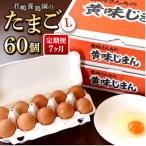 たまご 黄味じまん Lサイズ 60個