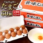君嶋養鶏園 Lサイズ 卵60個 卵かけご飯にも
