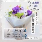 季節のお花で束ねた仏花 ミニサイズ全6回