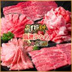 飛騨牛 厳選少なめ定期便 計1.6kg