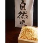自然米 玄米5kg 全6回