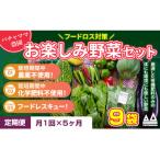 ふるさと納税 下妻市 【毎月定期便】お楽しみ★農園自慢の情熱野菜セット9袋　フードロス対策　訳あり　規格外全5回