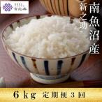 雪温精法 南魚沼産新之助6kg 全3回