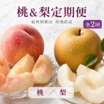 紀州和歌山産旬のフルーツセット 8月:桃約1.8kg