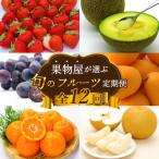 果物屋が選ぶ旬のフルーツ定期便 いちご