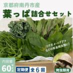 爬虫類用 季節の葉っぱ詰め合わせ 60サイズ全6回