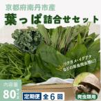 爬虫類用 季節の葉っぱ詰め合わせ 80サイズ全6回