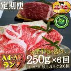 ハラル切り落とし250g×全6回
