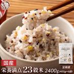 栄養満点23穀米 400g×2袋×全3回