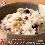 ダイエット重視スリムブレンド 400g×2袋×全3回