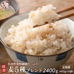 麦5種ブレンド 400g×2袋