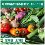 朝採れ 旬の野菜の詰め合わせ 大全3回