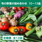旬の朝採れ土佐野菜詰め合わせ大 10~13品目