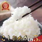 6ヵ月連続でお届け コシヒカリ 定期便5kg全6回