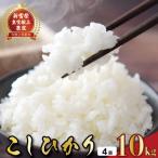 4ヵ月連続でお届け コシヒカリ 定期便 10kg全4回