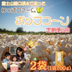 おやつ 有機栽培で作ったこだわりポップコーン2袋
