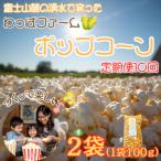おやつ 有機栽培で作ったこだわりポップコーン2袋