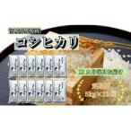 コシヒカリ白米5kg 栗原産全12回