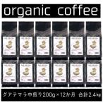 ANDTHESOIL.焙煎オーガニックコーヒー豆GUA中煎り200g