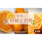 ふるさと納税 松山市 【発送月固定定期便】柑橘(せとか 神ポン カラマンダリン)全3回