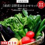 旬のお野菜詰め合わせ 京野菜セット 6~8種類全3回