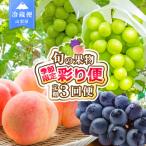 ふるさと納税 笛吹市 【発送月固定定期便】2026年発送 桃 黒ぶどう シャインマスカット全3回