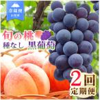 桃 種無し黒ぶどう 山梨 フルーツ 果物 全2回