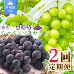 ふるさと納税 笛吹市 【発送月固定定期便】2026年発送 黒葡萄 シャインマスカット全2回