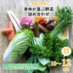身体が喜ぶ野菜 季節の詰め合わせ おまかせ10~12品