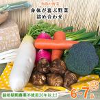栽培期間中農薬不使用 身体が喜ぶ野菜 詰め合わせ全10回