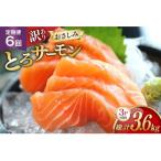訳ありおさしみとろサーモン 200g×3パック全6回