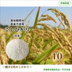 こしひかり白米10kg 共通返礼品 産全12回
