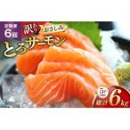 訳ありおさしみとろサーモン 200g×5パック全6回