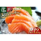 訳ありおさしみとろサーモン 200g×5パック全12回