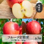 ふるさと納税 尾花沢市 【発送月固定定期便】フルーツ定期便 山形 りんご食べ比べ  早生ふじ シナノスイート サンふじ全3回