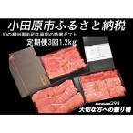 幻の相州黒毛和牛 肩肉 1.2kg全3回