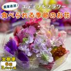 農家直送 加藤さんちのエディブルフラワー 3パック