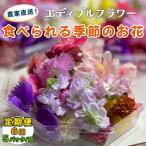 農家直送 加藤さんちのエディブルフラワー 5パック