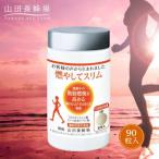 燃やしてスリム 28130 全3回